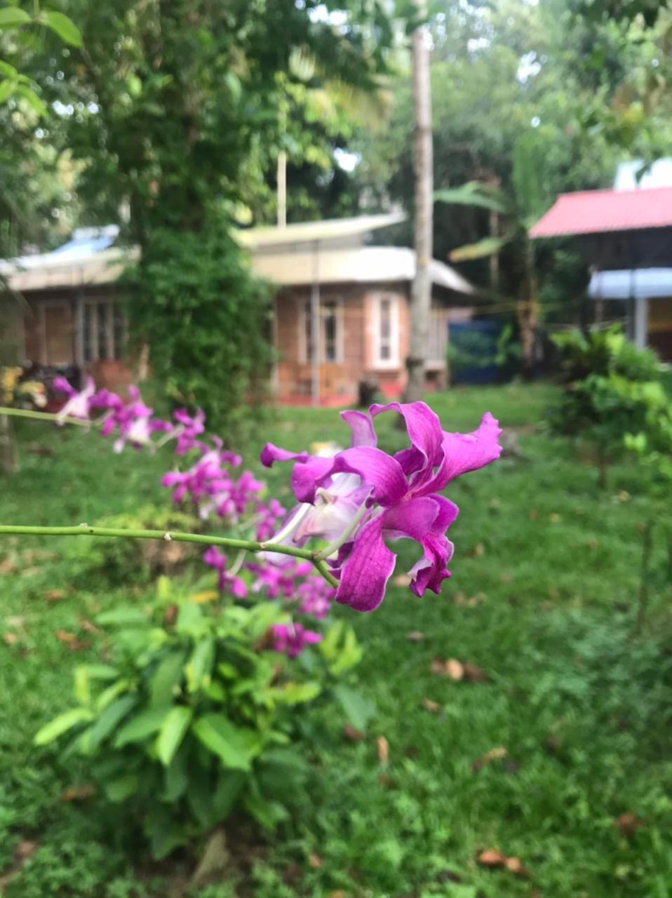 Ashtamudivillas Kollam Luaran gambar
